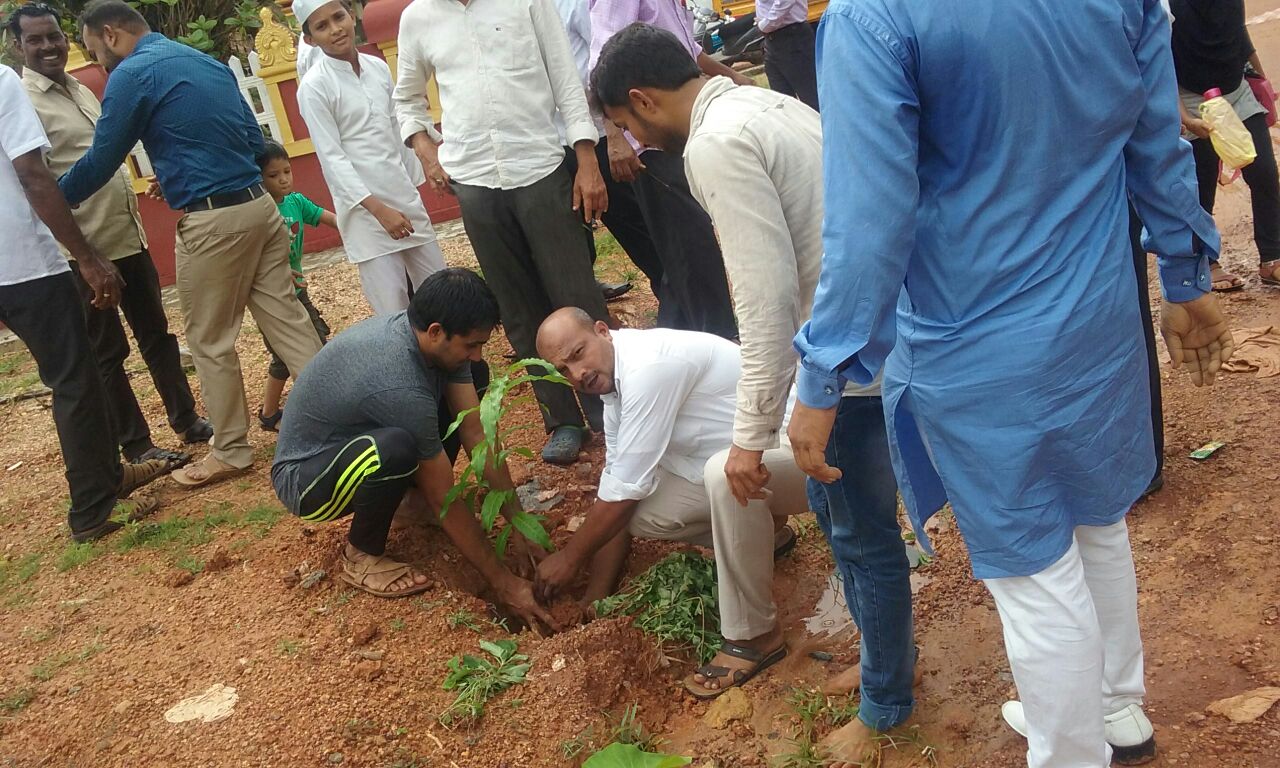 ಸಜಿಪನಡು ಗ್ರಾಪಂನಿಂದ ವನಮಹೋತ್ಸವ